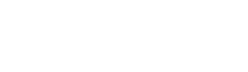 logo long white